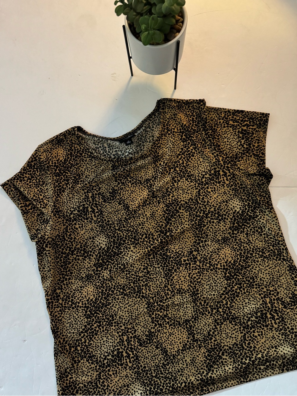 East 5th Short Sleeve Leopard Print Tee in Black & Tan